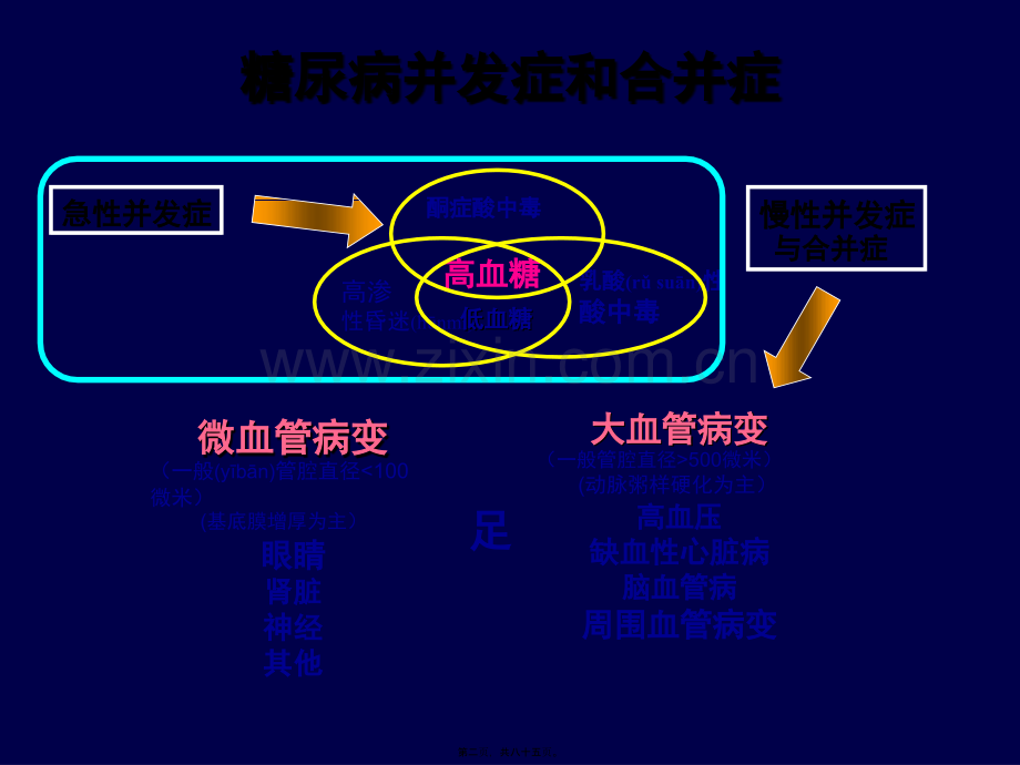 糖尿病急性并发症的抢救.ppt_第2页