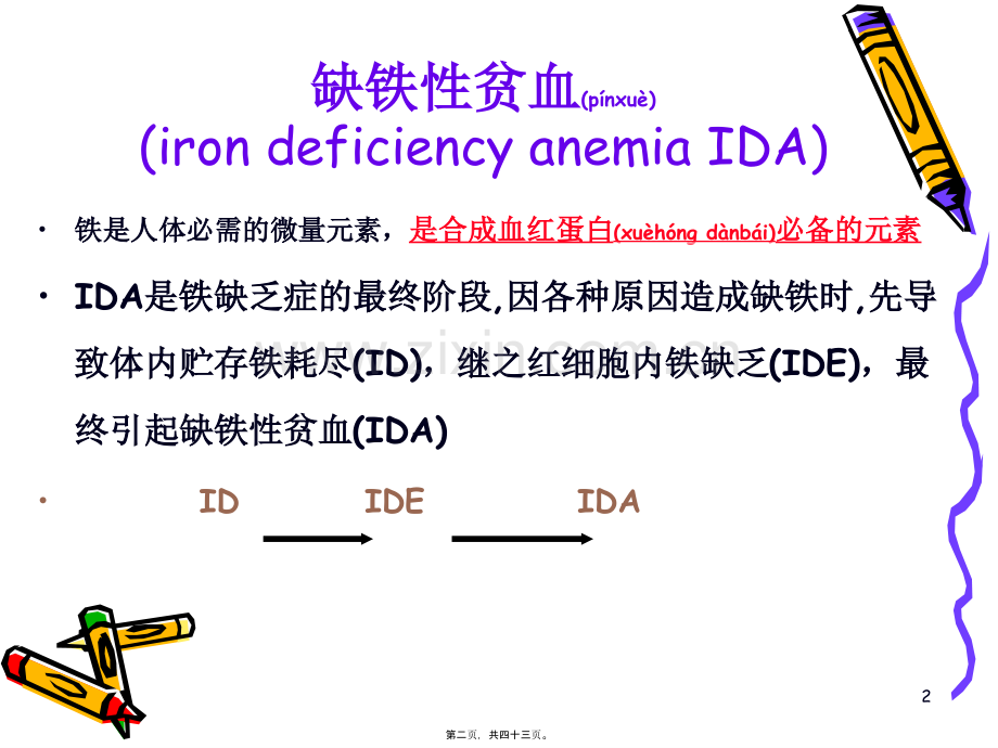 缺铁性贫血.ppt_第2页