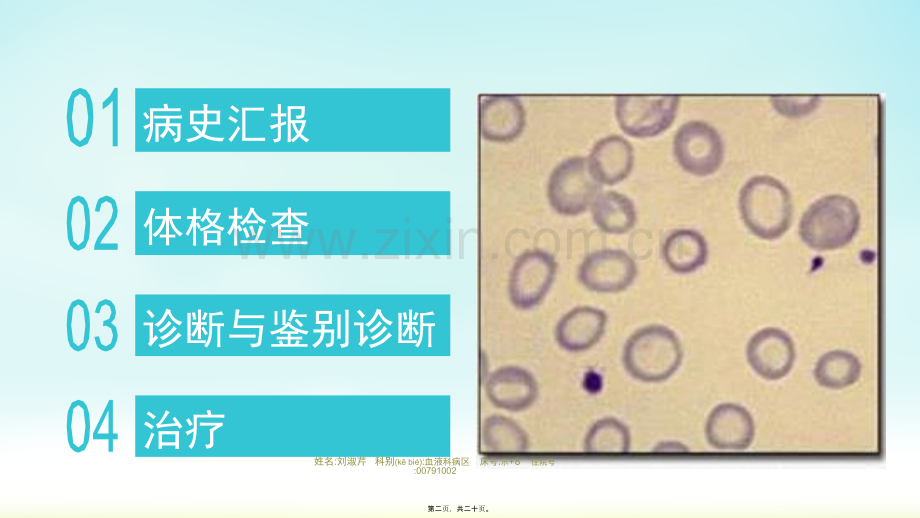 缺铁性贫血-教学查房.ppt_第2页