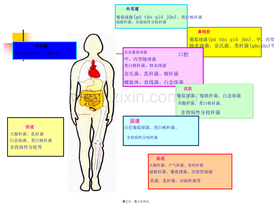 第三节-消毒灭菌.ppt_第2页