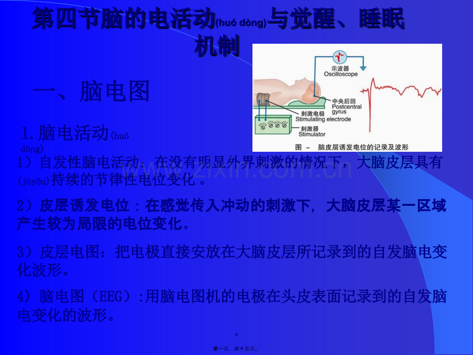 第四节脑的电活动与觉醒.ppt_第1页