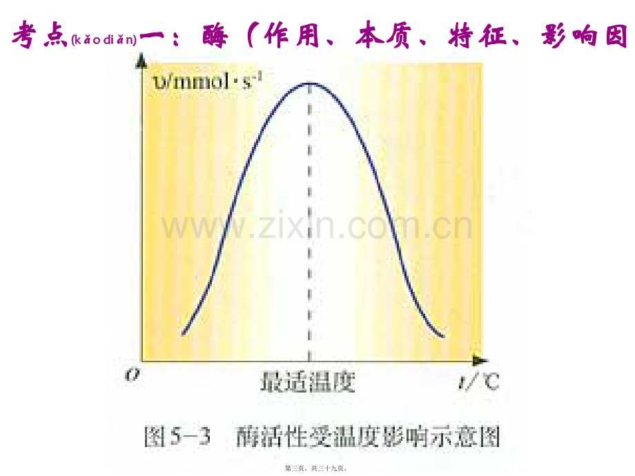 第五章-细胞的能量供应和利用(文).ppt_第3页