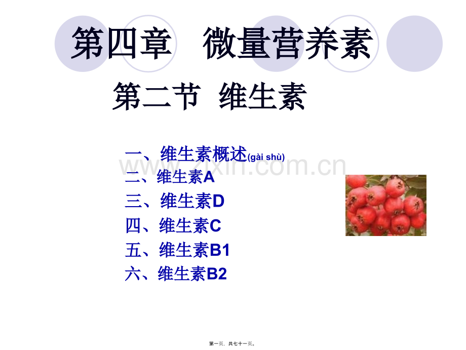 学术讨论—第四章-微量营养素-维生素.ppt_第1页