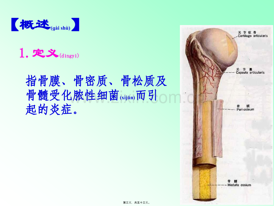 第四十八章-骨与关节感染(1).ppt_第3页