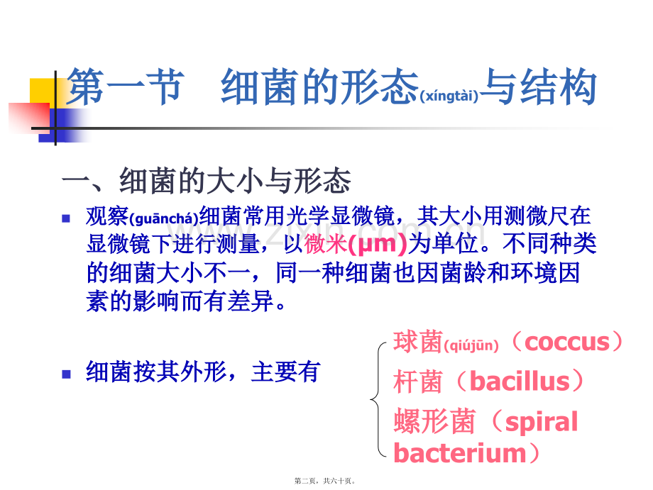 第二章：细菌的基本性状--细菌形态学.ppt_第2页