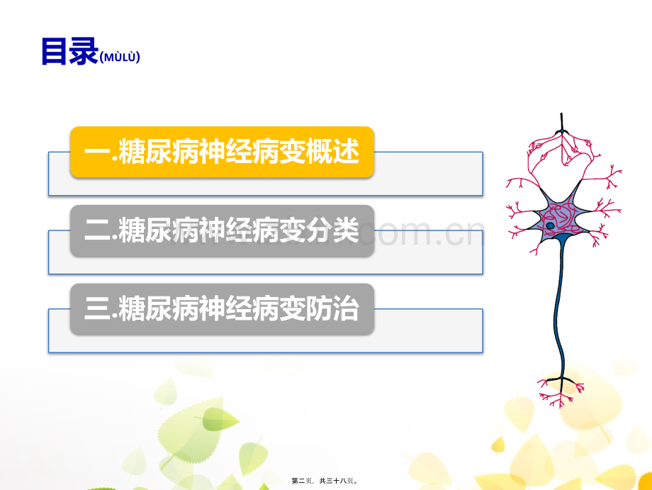 糖尿病神经病变及筛查.ppt_第2页