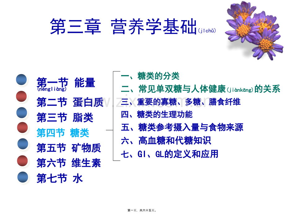 第三章-营养学基础-糖类.pptx_第1页