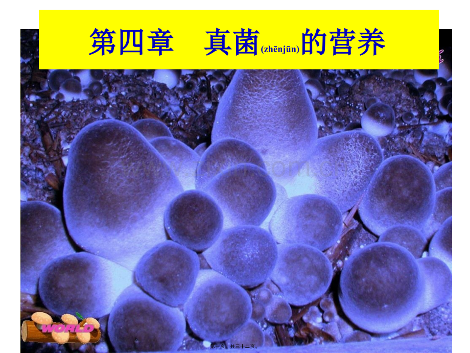 学术讨论—第四章-真菌的营养new.ppt_第1页