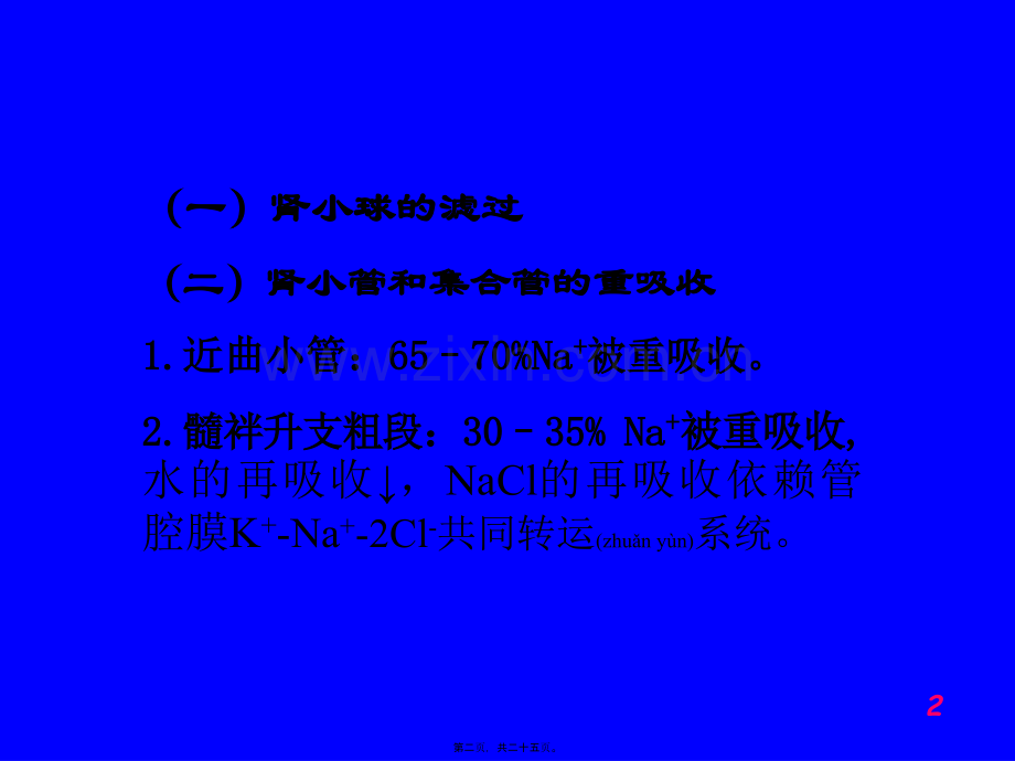 第二十二章---利尿药与脱水药.ppt_第2页