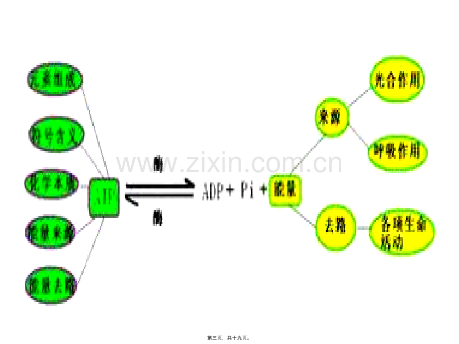 第三章--细胞的代谢概念图.ppt_第3页