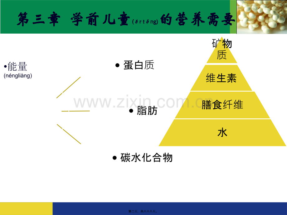 第三章-学前儿童的营养需要.ppt_第2页