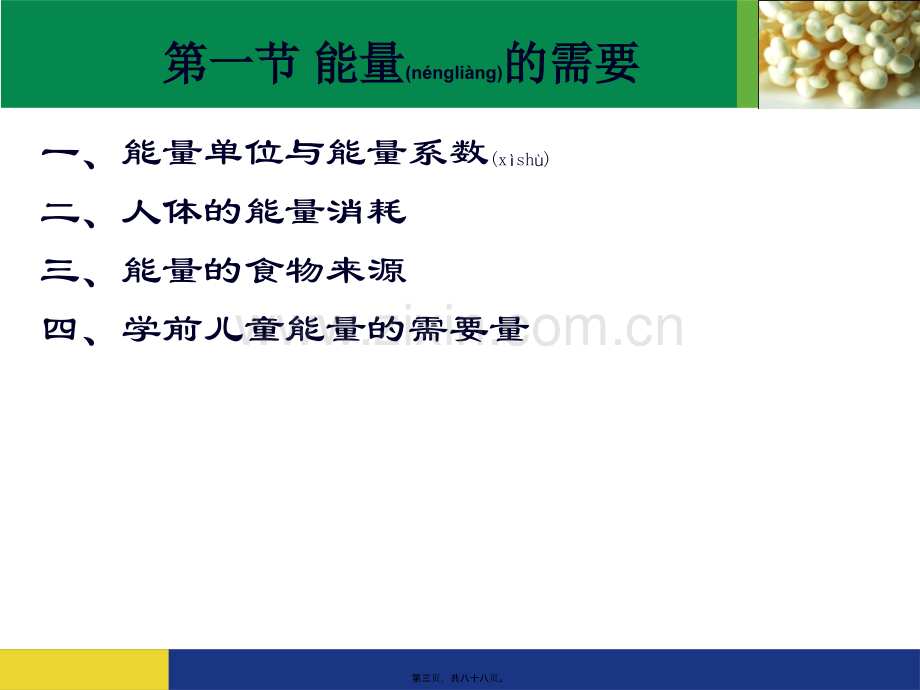 第三章-学前儿童的营养需要.ppt_第3页