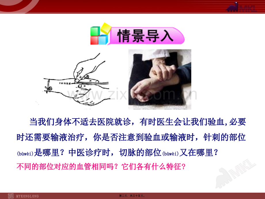 第二节--血流的管道—血管(七年级下册).ppt_第2页