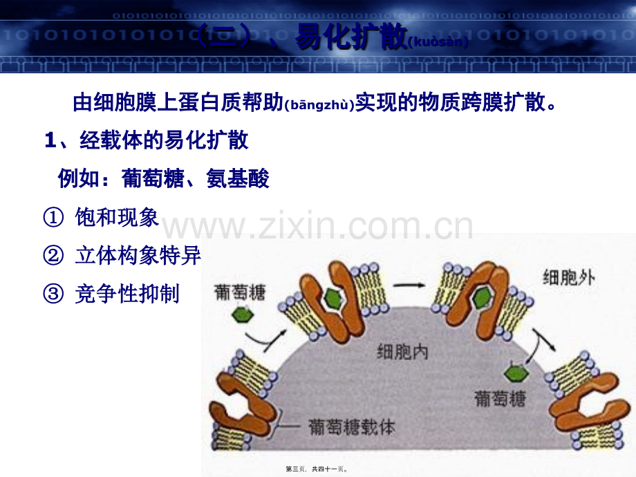 第三篇-细胞的基本功能.ppt_第3页