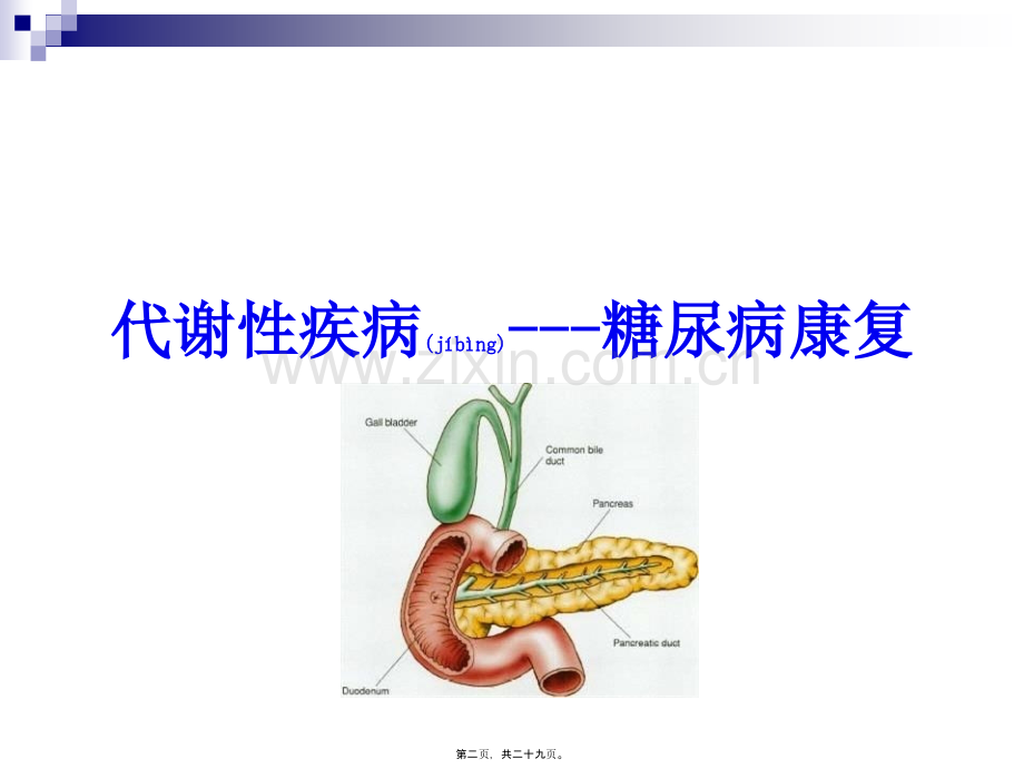 糖尿病的康复.ppt_第2页