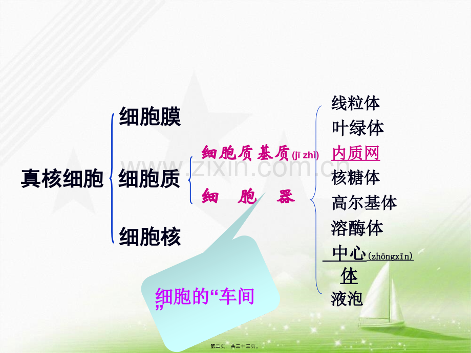 第二节-细胞器-系统内的分工合作.ppt_第2页