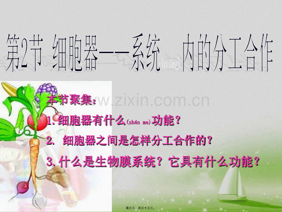 第二节-细胞器-系统内的分工合作.ppt_第3页