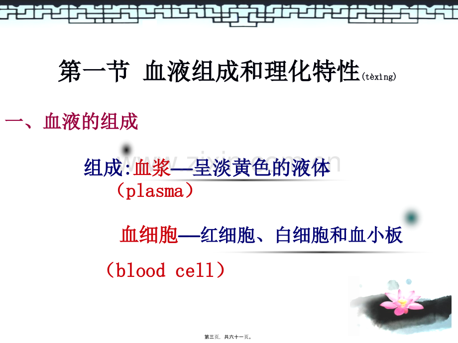 第三篇血液WBX.ppt_第3页