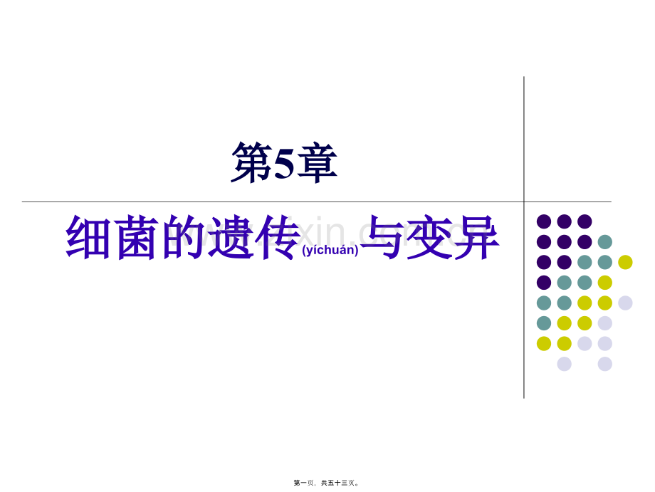 第五章-细菌的遗传与变异2011.ppt_第1页