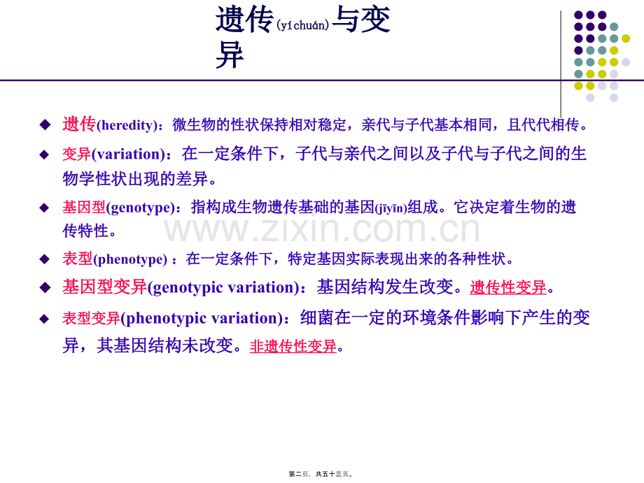 第五章-细菌的遗传与变异2011.ppt_第2页