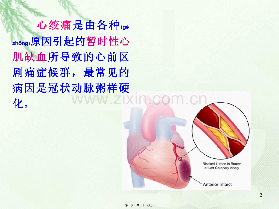 第九讲-抗心绞痛药.ppt_第3页