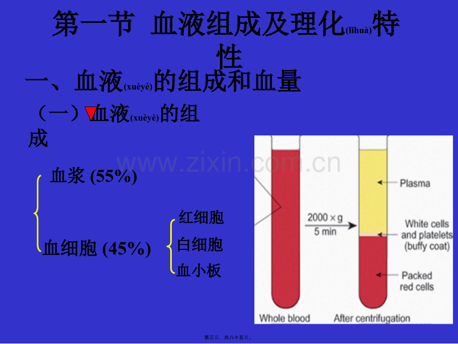 学术讨论—第五章-血液-xu.ppt_第3页