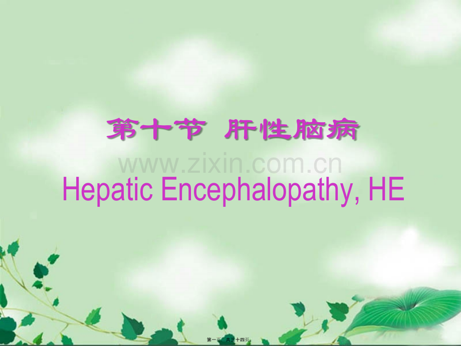 第十节--肝性脑病.ppt_第1页