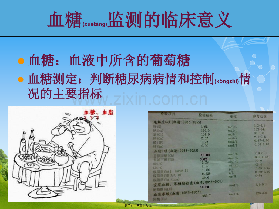 糖尿病的病情监测及血糖仪的使用方法.ppt_第2页