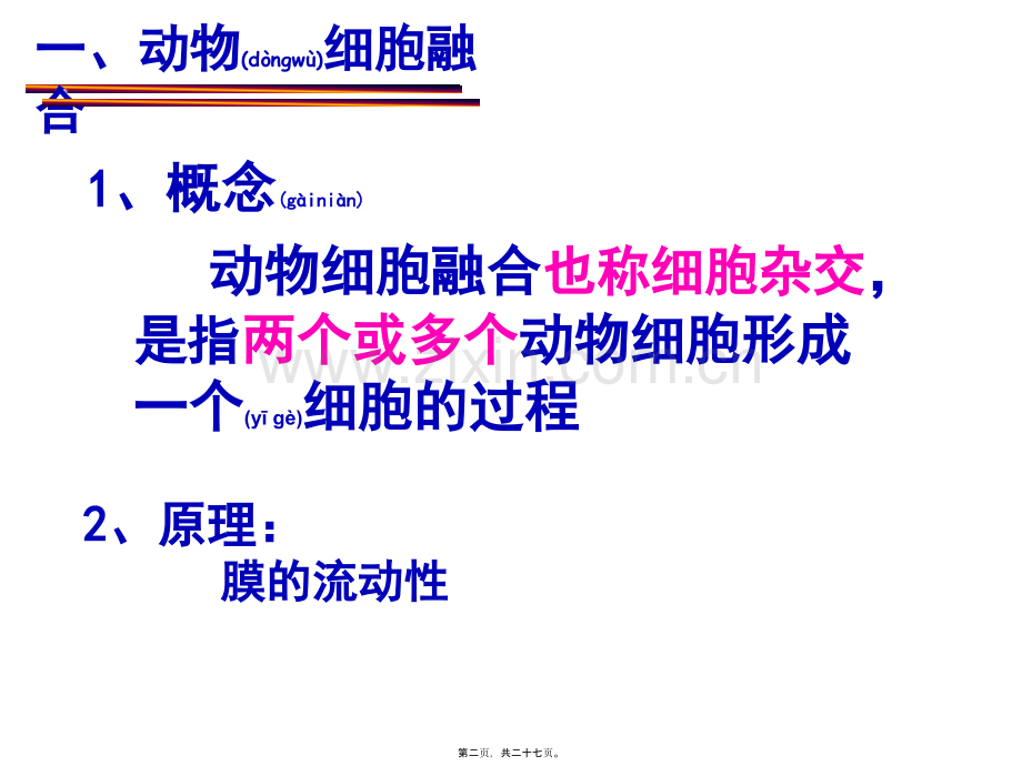 筛选杂交瘤细胞细胞培养筛选.ppt_第2页