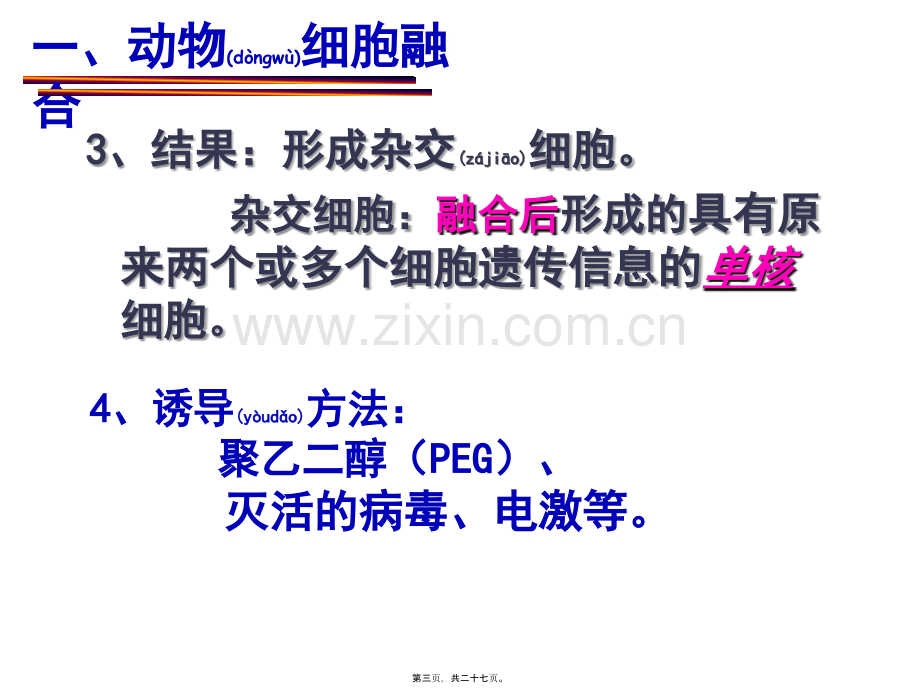 筛选杂交瘤细胞细胞培养筛选.ppt_第3页