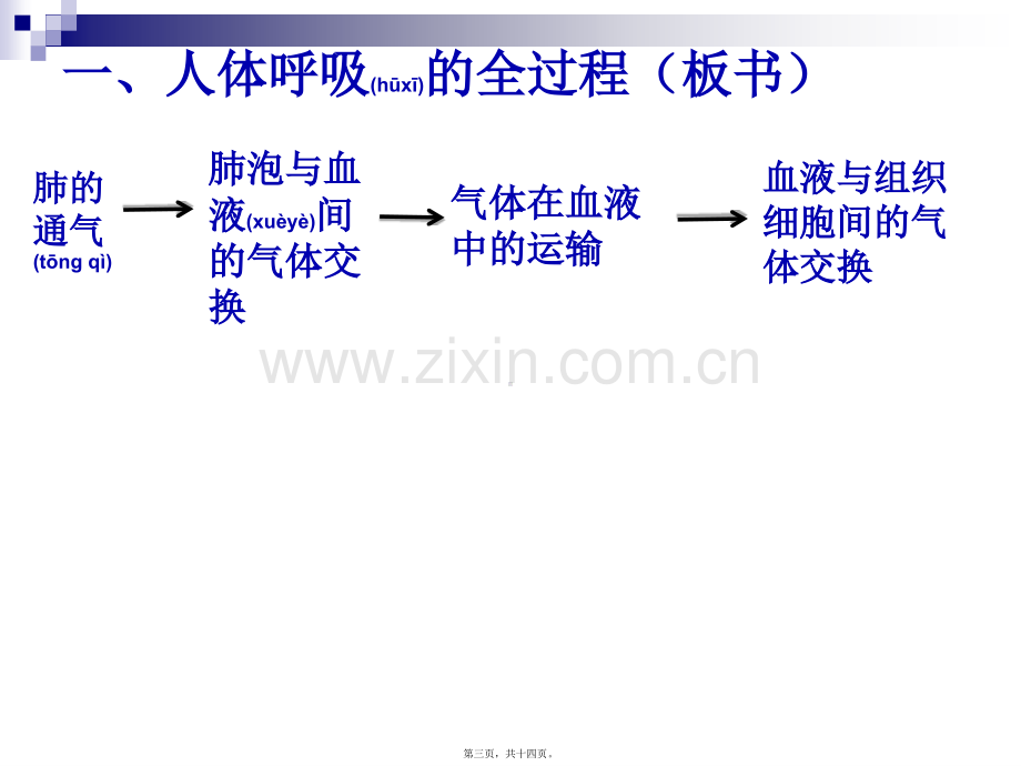 第二节-呼吸的全过程.ppt_第3页