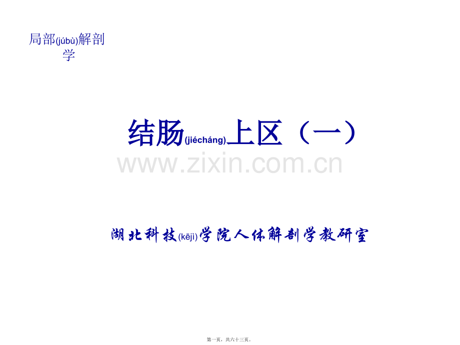 结肠上区(一)局解.ppt_第1页