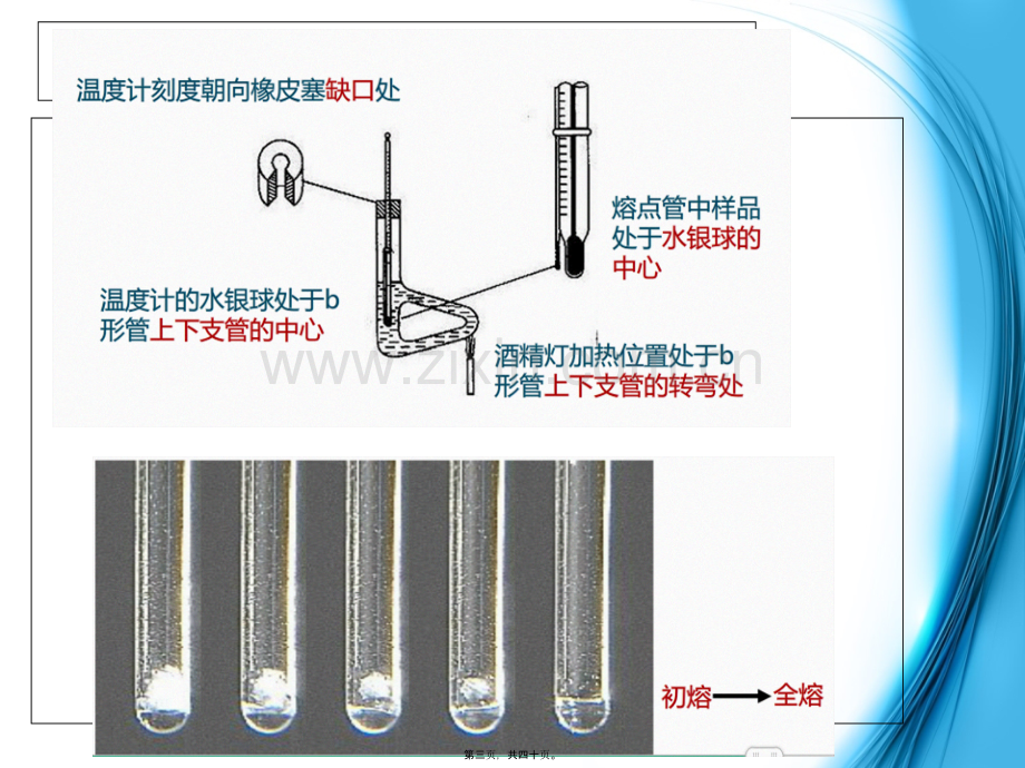 第二章-新药开发的质量标准概论.ppt_第3页