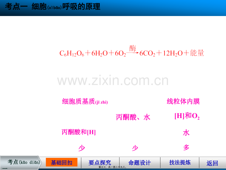 学术讨论—第三单元第9讲细胞的能量供应和利用2.ppt_第3页