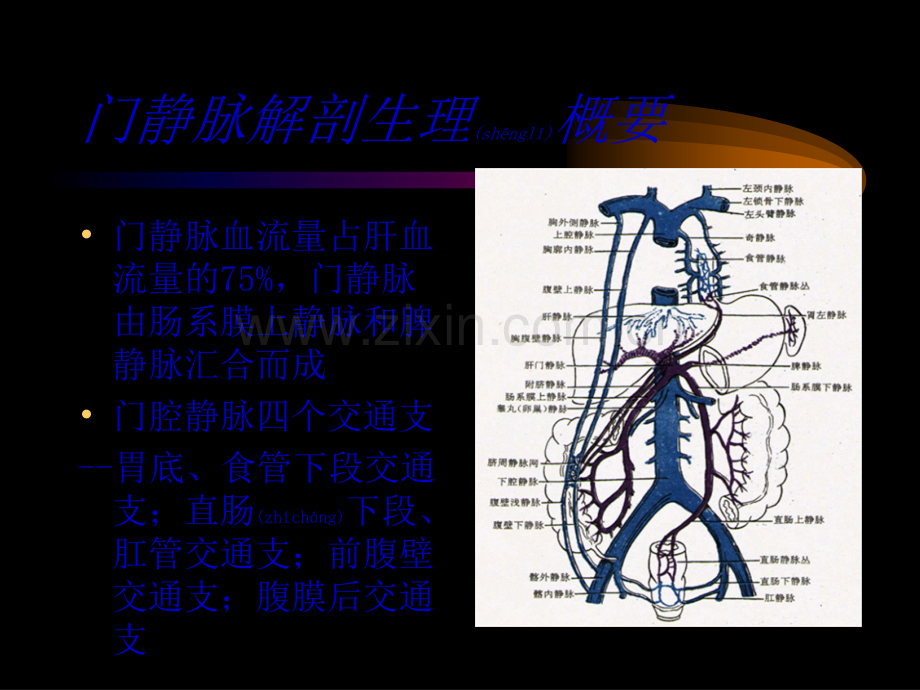 学术讨论—第十六章-门静脉高压症.ppt_第3页