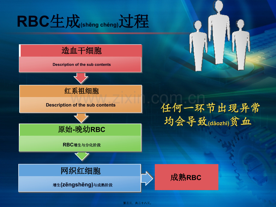 第二节造血功能障碍性贫血中的应用.ppt_第3页