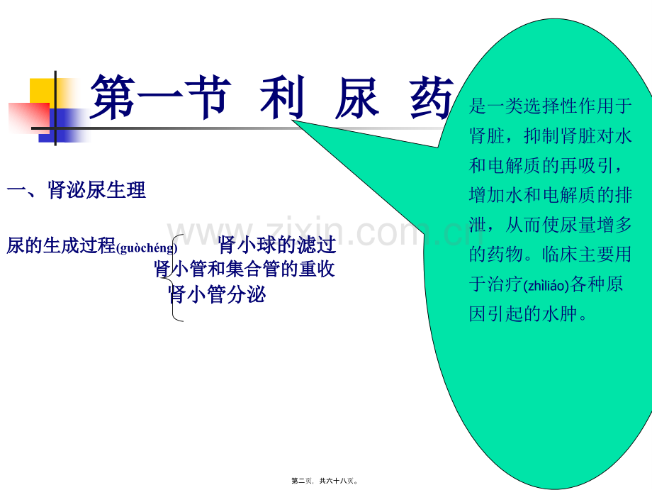 学术讨论—第二十四章--利尿药.ppt_第2页