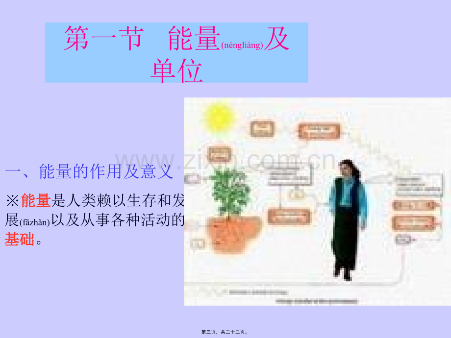 第三章营养与能量平衡.ppt_第3页