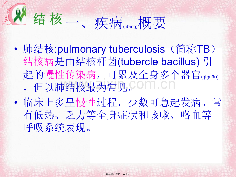 学术讨论—第八节--肺结核.ppt_第3页