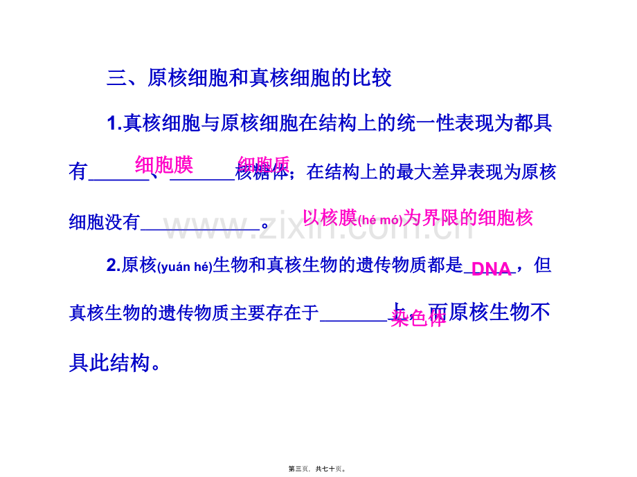 第二讲--生命的结构基础和细胞工程.ppt_第3页