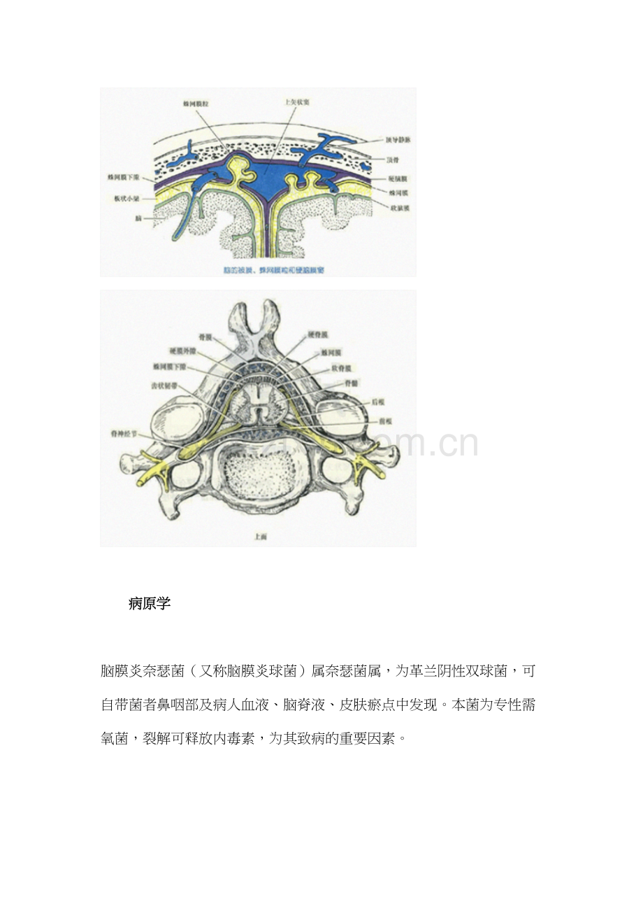 第三章-病例分析——化脓性脑膜炎-(流行性脑脊髓膜炎)-执业医师实践技能强化精讲课程讲义.docx_第2页