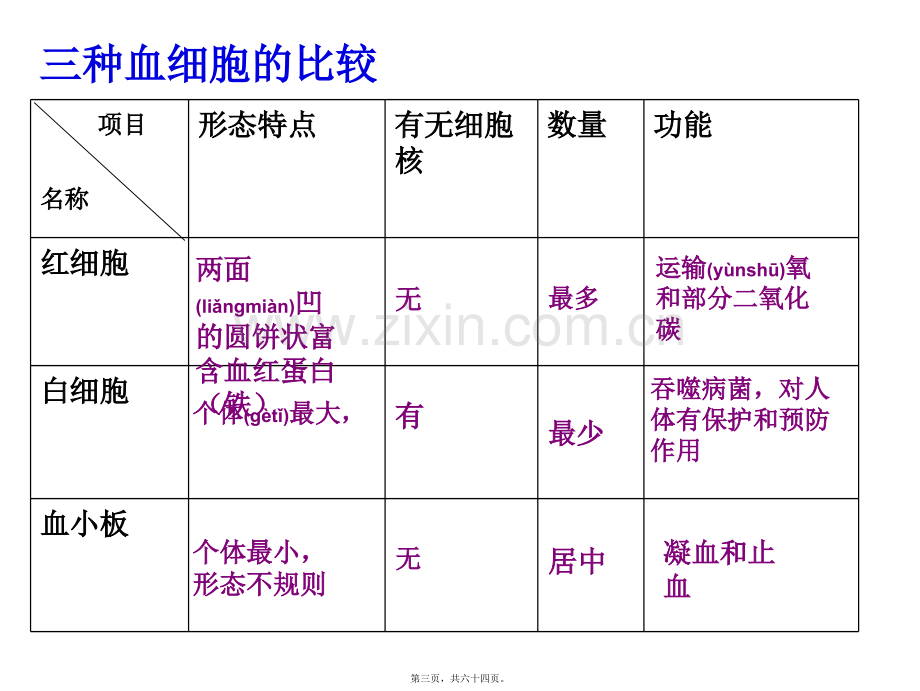 第三节-输送血液的泵-心脏.ppt_第3页