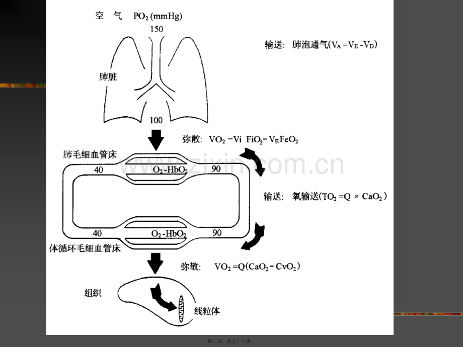 学术讨论—缺氧与氧疗.ppt_第2页