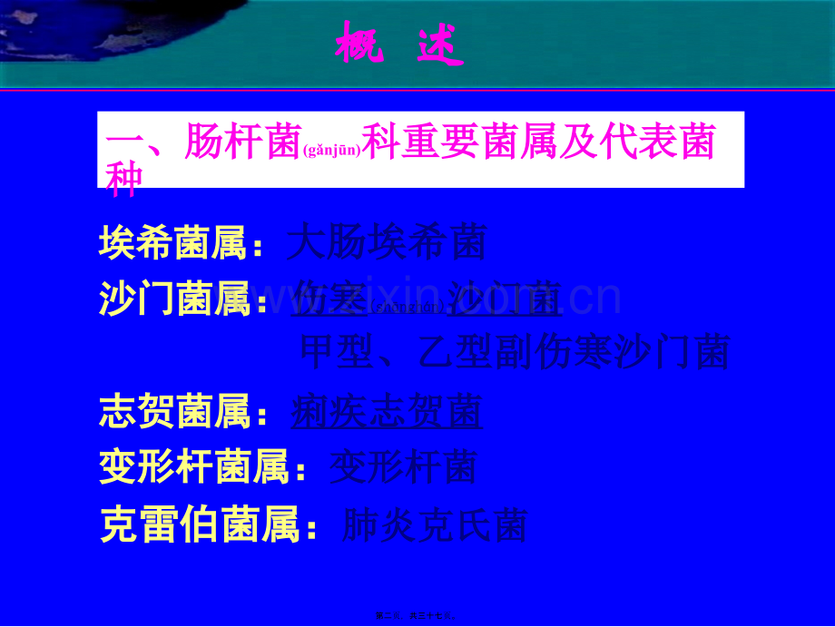 第十章--肠杆菌科伤寒沙门菌.ppt_第2页