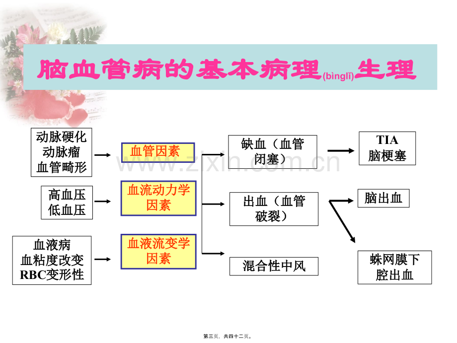 缺血性脑血管病-脑梗塞.ppt_第3页