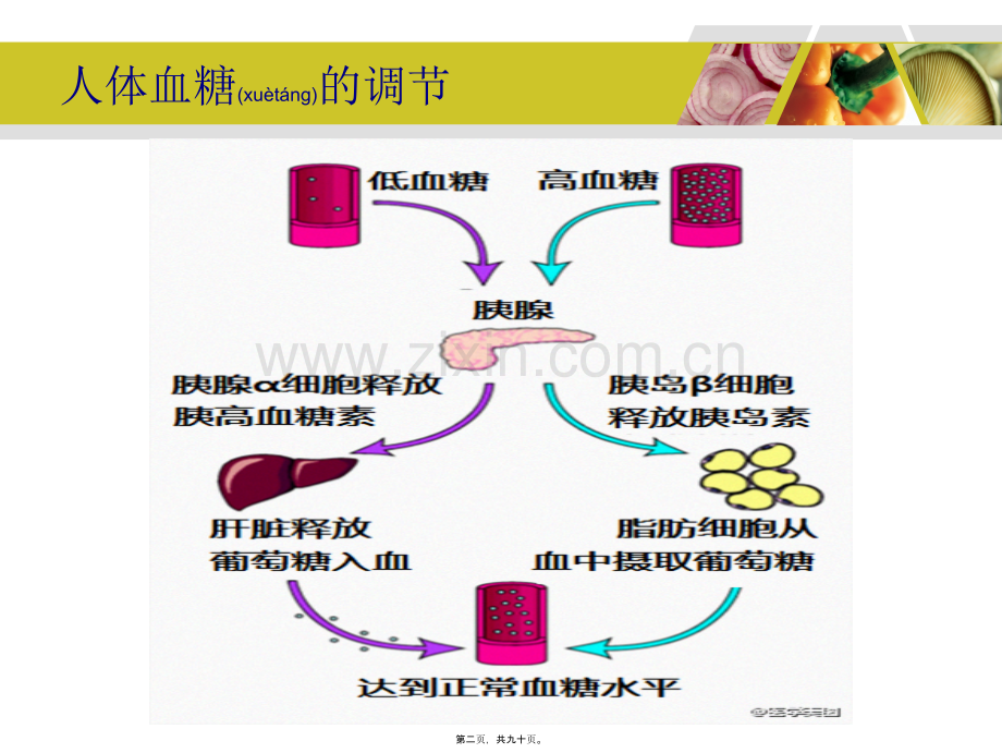 糖尿病与营养..ppt_第2页