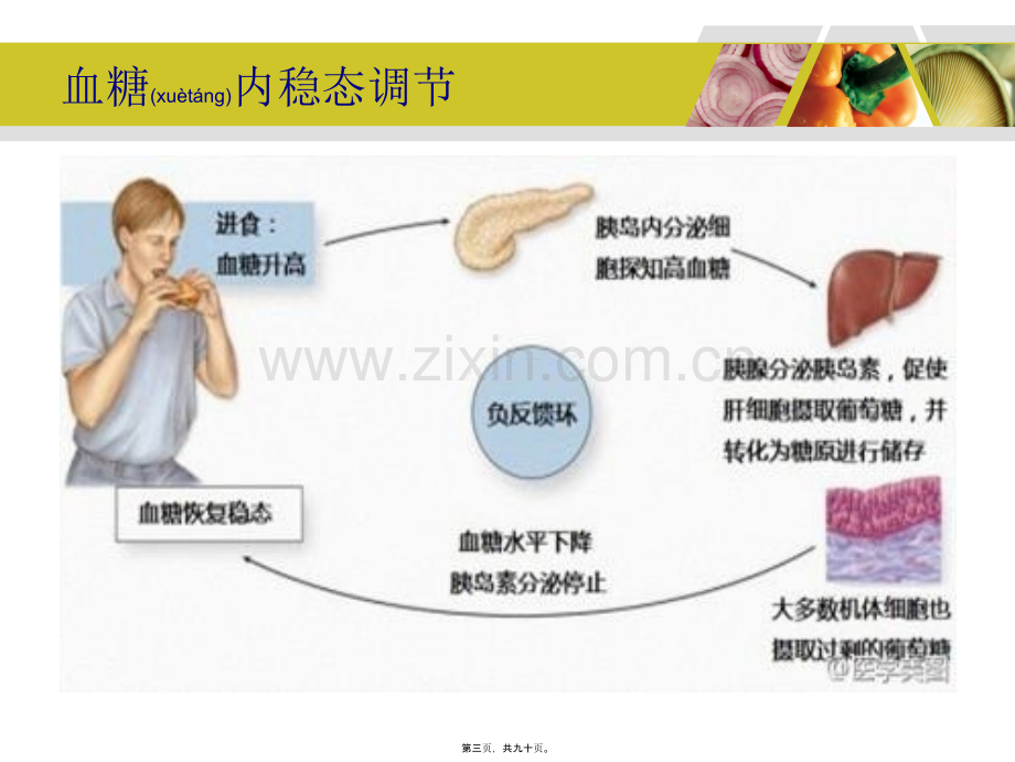 糖尿病与营养..ppt_第3页