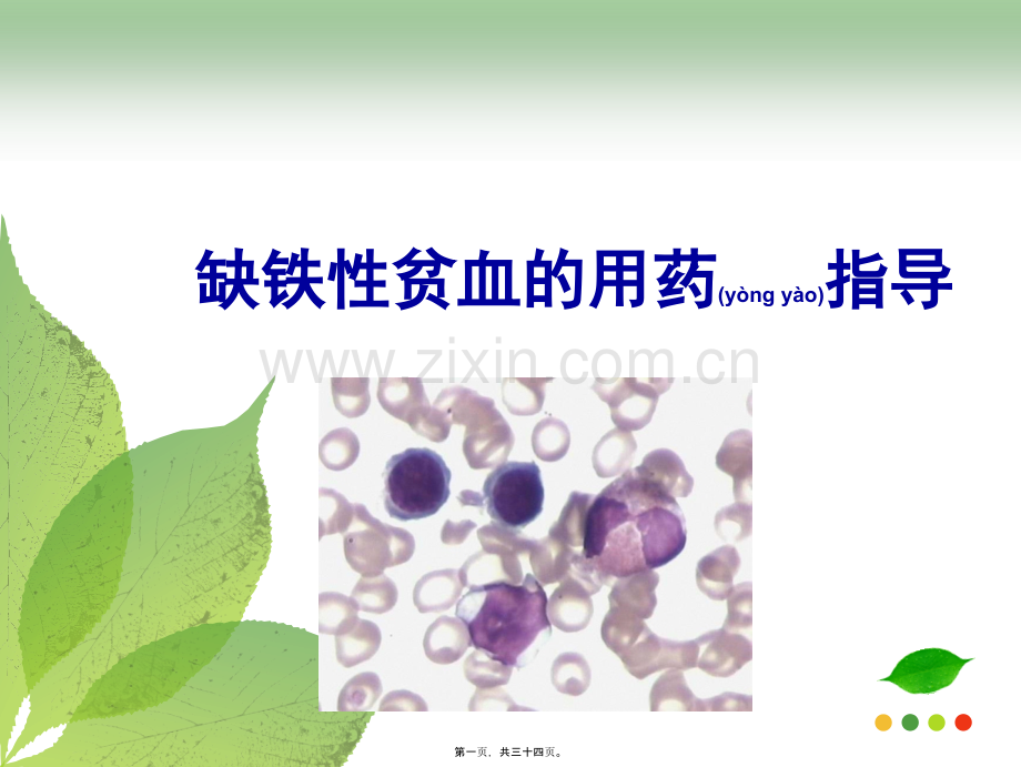 缺血性贫血的用药指导.ppt_第1页