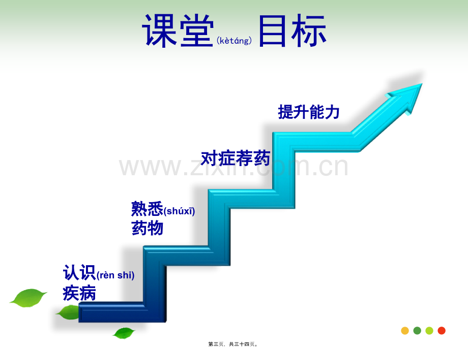 缺血性贫血的用药指导.ppt_第3页