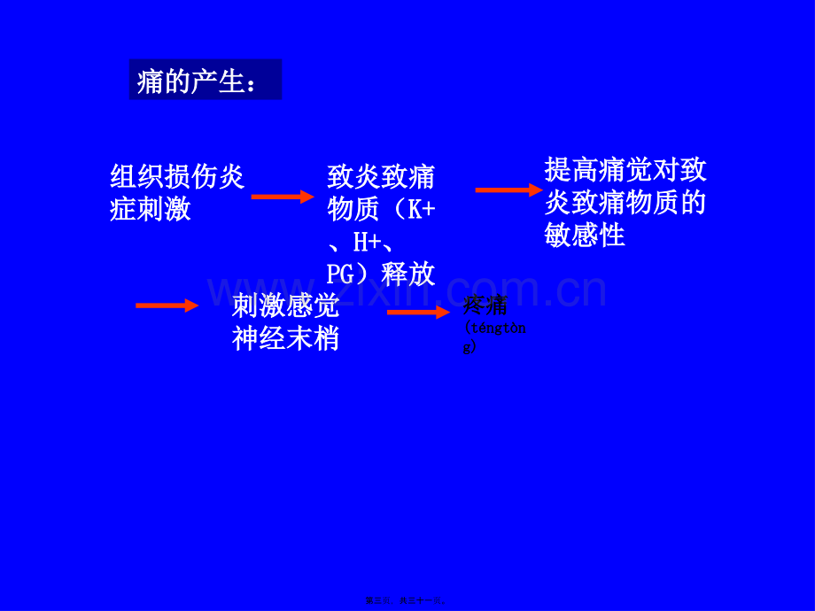 学术讨论—第十五章-镇痛药.ppt_第3页